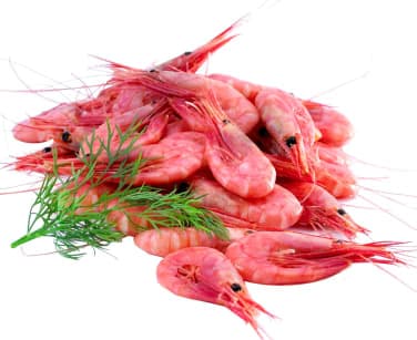 REKER 70/90 5 KG KRT