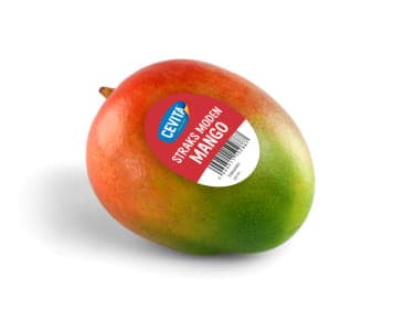 Mango (stykk Cevita)