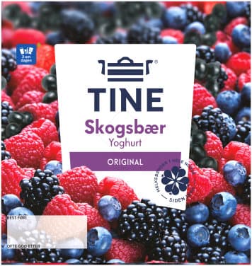 YOGHURT SKOGSBÆR 4X150G