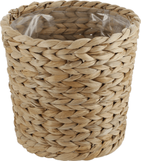 Blomsterpotte i vannhyasint