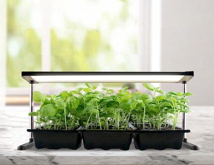 LED-vekstlys med stativ og timer, svart