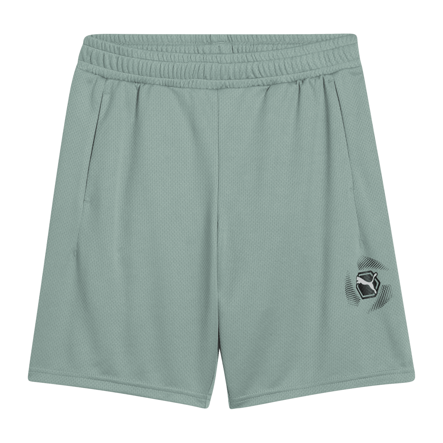 Puma Active Sports Graphic Poly Shorts, shorts