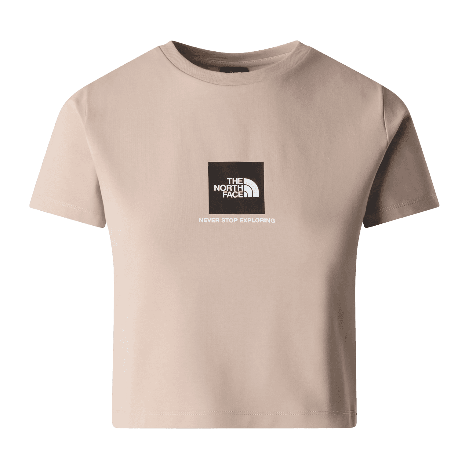 The North Face Small Box Slim Ss Tee, t-skjorte, dame