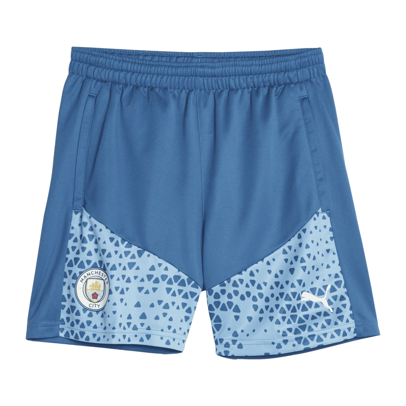 Puma MCFC Training S