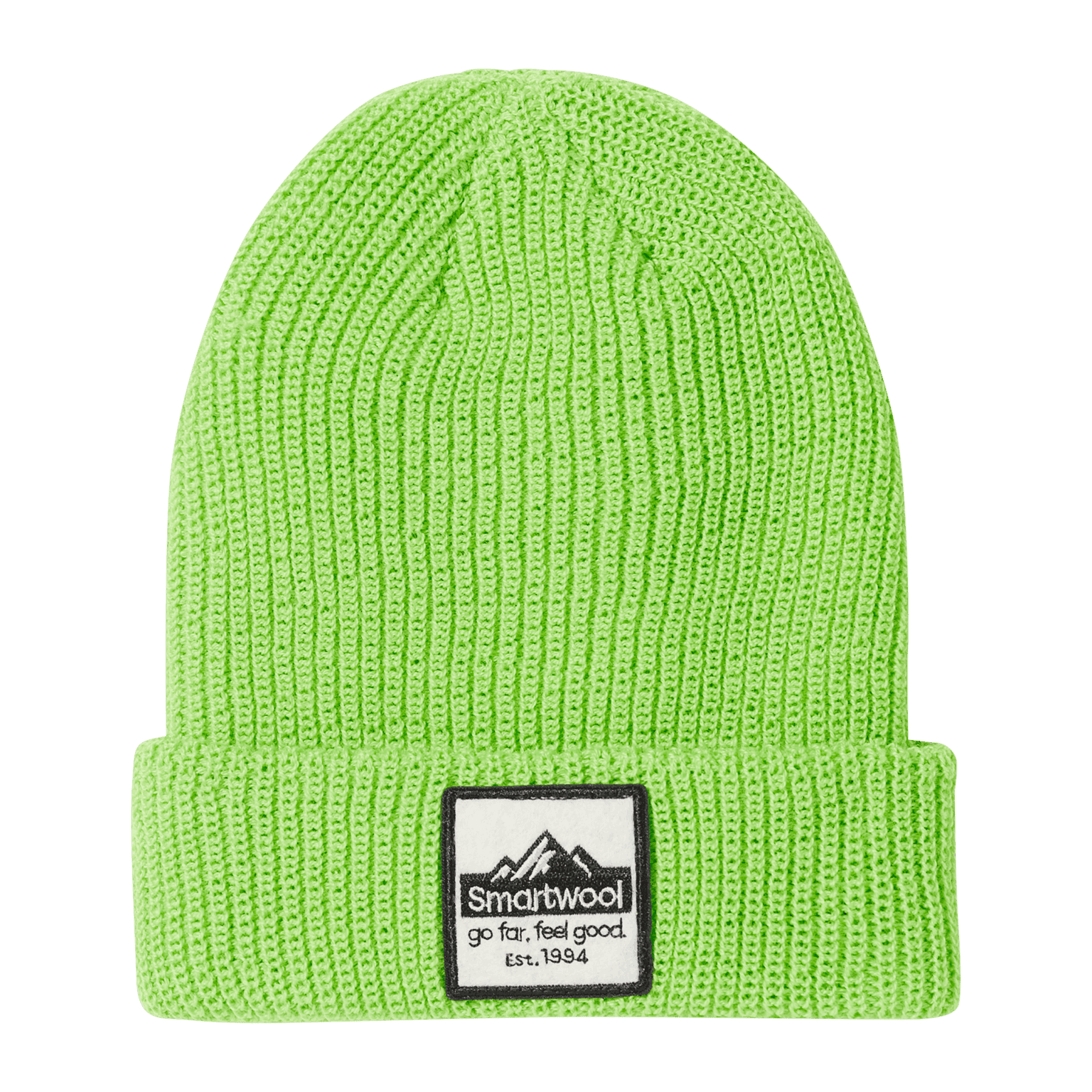 Smartwool Patch Beanie, lue, barn