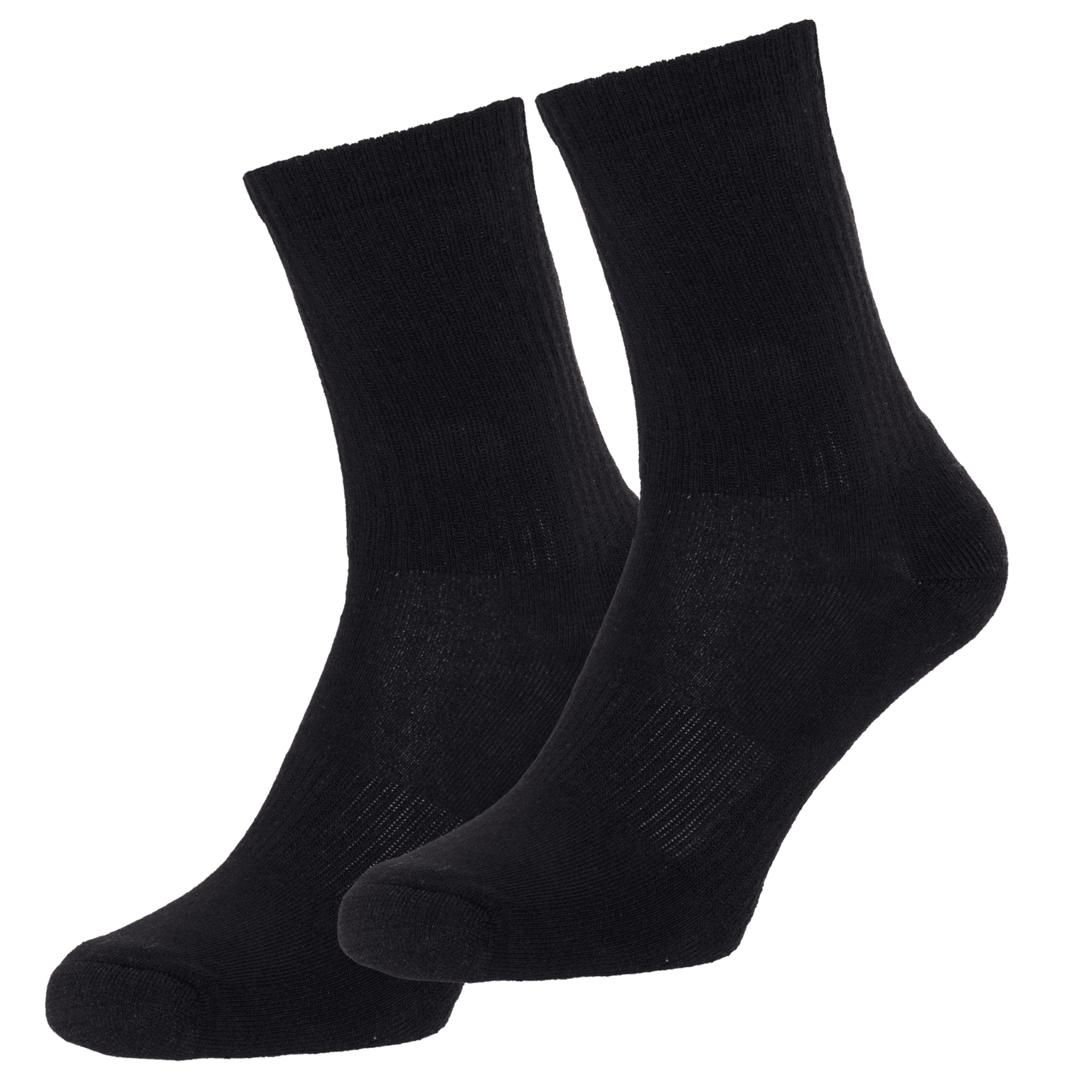 ActivePulse Bislett Sports Sock, 2-Pack, sokker